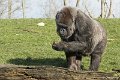_DSC0193