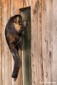 _DSC0271