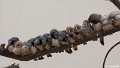 _DSC0378