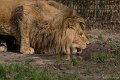 _DSC0176