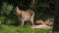_DSC0027