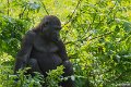 _DSC0097