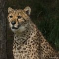 _DSC0352