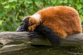 _DSC0017