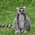 _DSC0019