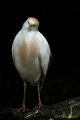 _DSC0028