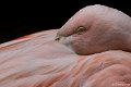 _DSC0031