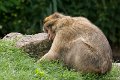 _DSC0125