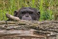_DSC0268