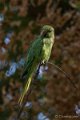 _DSC0005