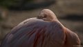 _DSC0048