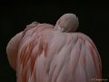 _DSC0049
