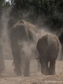 _DSC0077