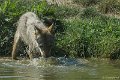 _DSC0173