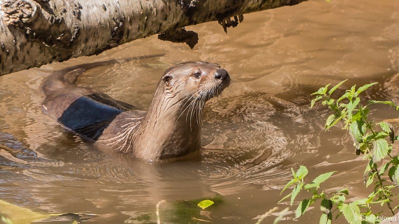 P1390768.JPG - Visotter