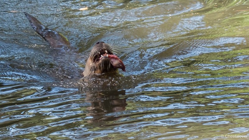 P1390790.JPG - Visotter