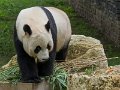 _DSC0355