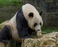 _DSC0366