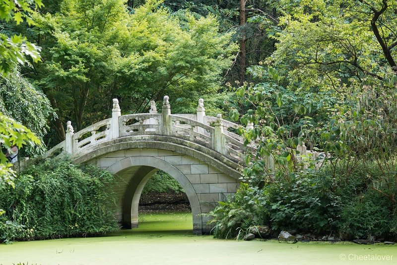 _DSC0761.JPG - Chinese Tuin