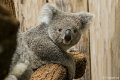 _DSC0109