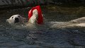 _DSC0111
