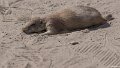 _DSC0180