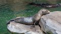 _DSC0332