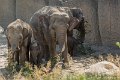 _DSC0643