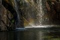 _DSC0761
