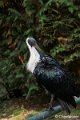 _DSC0478