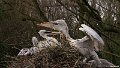 DSC00589