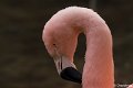 DSC00598