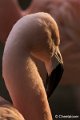 DSC00772