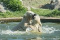 DSC00930