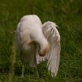 DSC00157