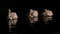 DSC00122