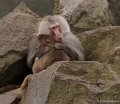 _DSC9709kopie