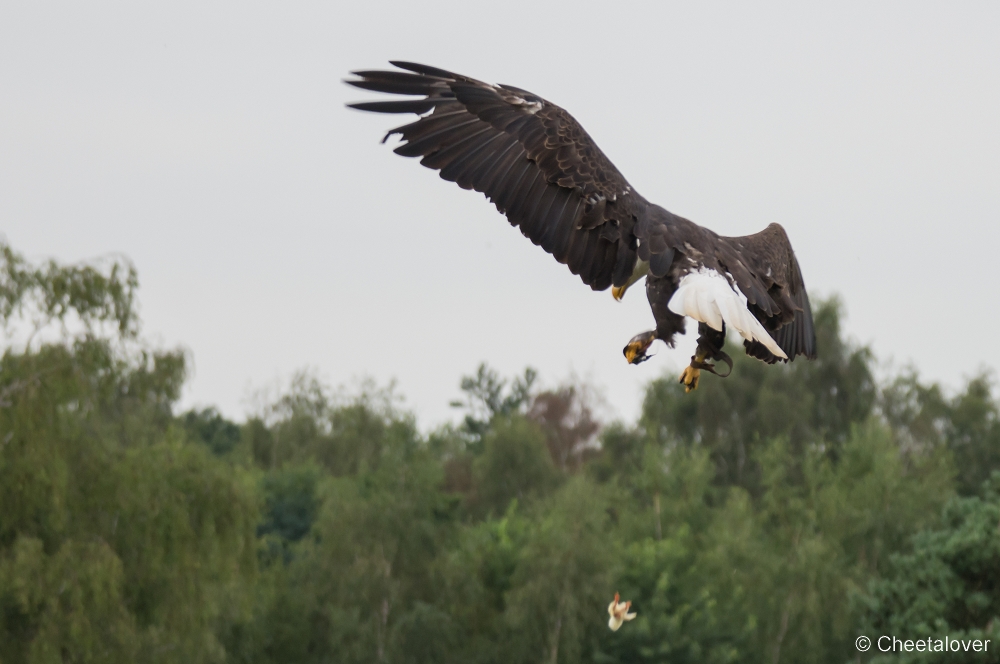 _DSC3816.JPG - Amerikaanse Zeearen 'Lady Maya'