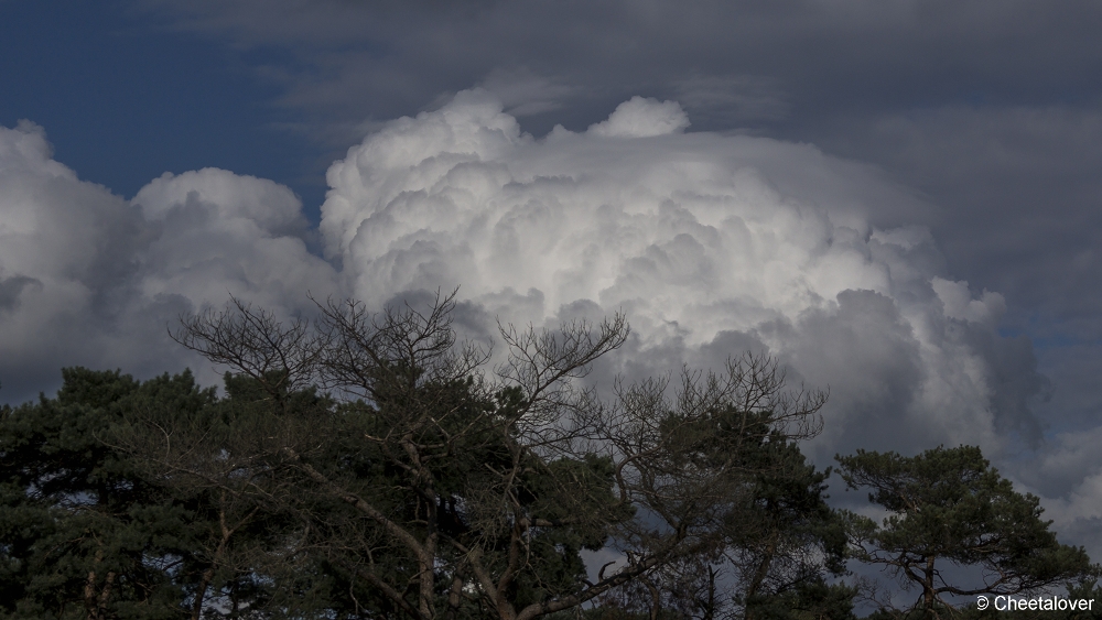 _DSC0165.JPG - Stapelwolken boven het Safaripark